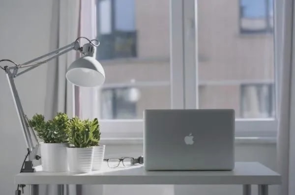 working station laptop lamp plants glasses